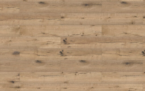 Refined oak