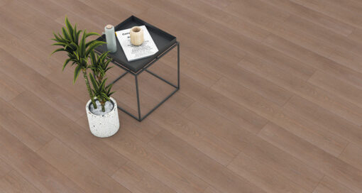 Bronz Oak 8 mm Laminat market